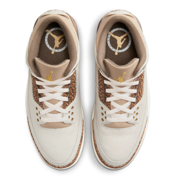 Air Jordan 3 Retro “Palomino” CT8532-102