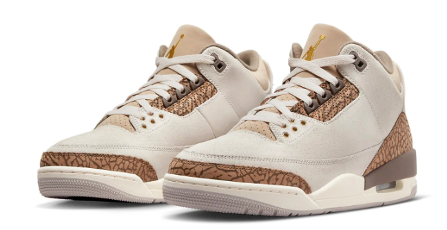 Air Jordan 3 Retro “Palomino” CT8532-102