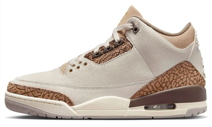 Air Jordan 3 Retro “Palomino” CT8532-102